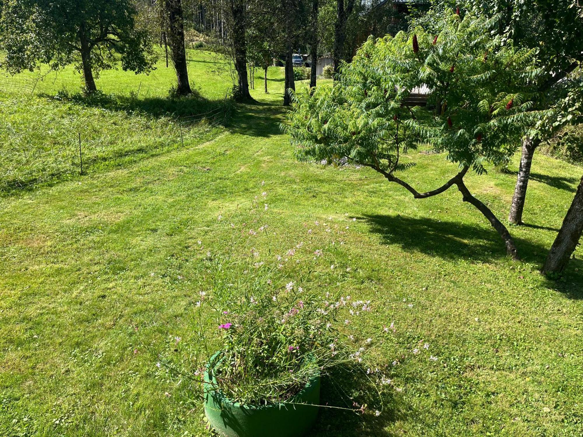 Haus Frey Διαμέρισμα Altaussee Εξωτερικό φωτογραφία